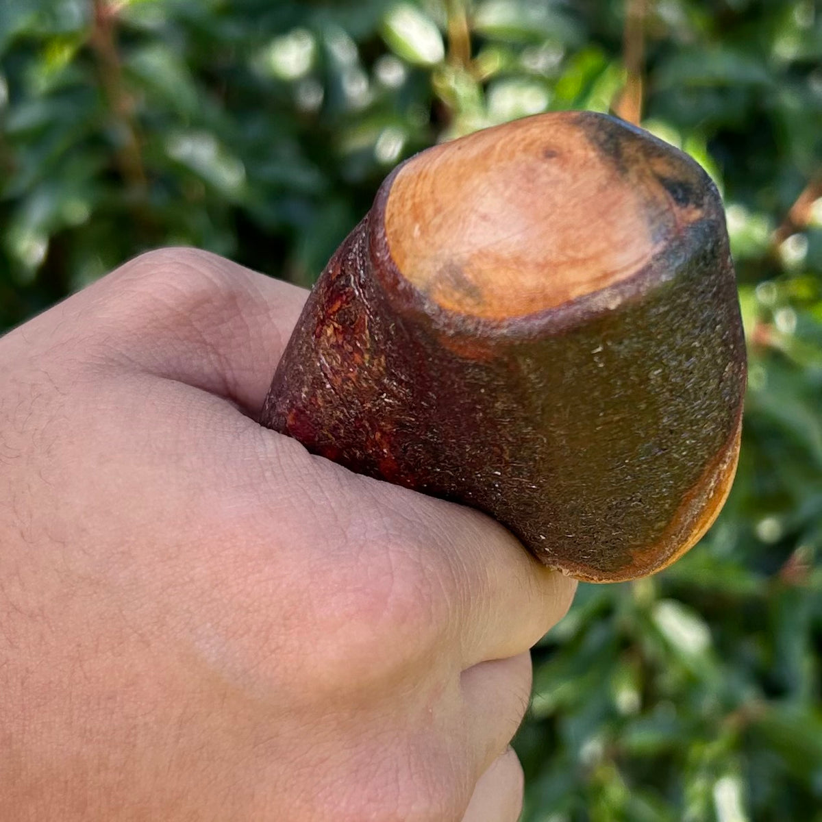 Rugged Ronan - Root Ball Blackthorn Shillelagh Knob Stick