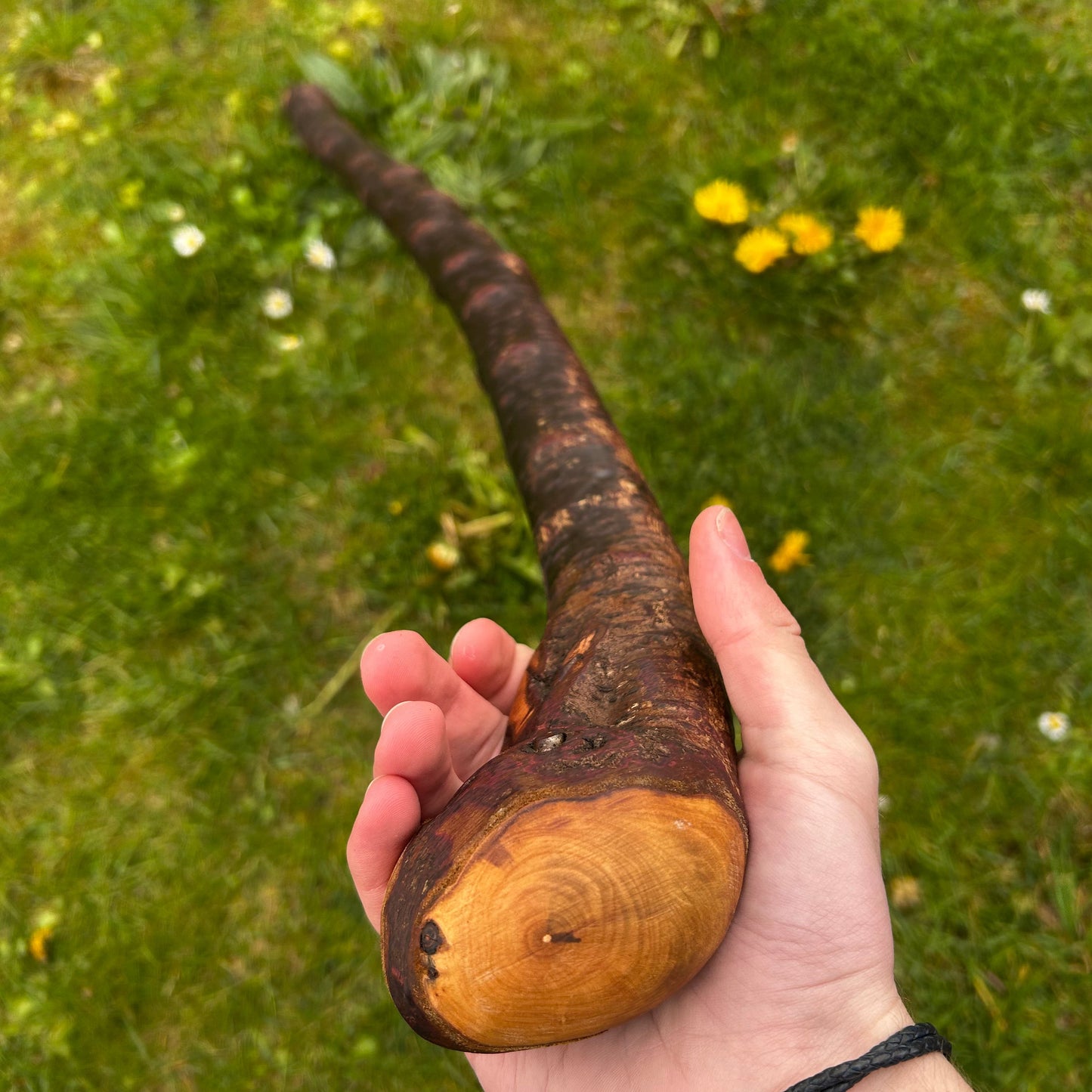 Heavy Gnarly Blackthorn Shillelagh Root Ball Stick – 98 cm (38.5”)