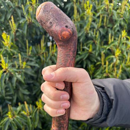 Sloped Knob Head Blackthorn Shillelagh – 96 cm (37.8”)