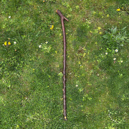 Blackthorn Shillelagh with Sloped L Handle Tail – 102 cm (40.1”)