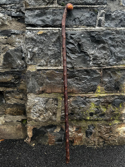 Rustic Blackthorn Hiking Stick with Leaning Head – 105 cm (41.3”)