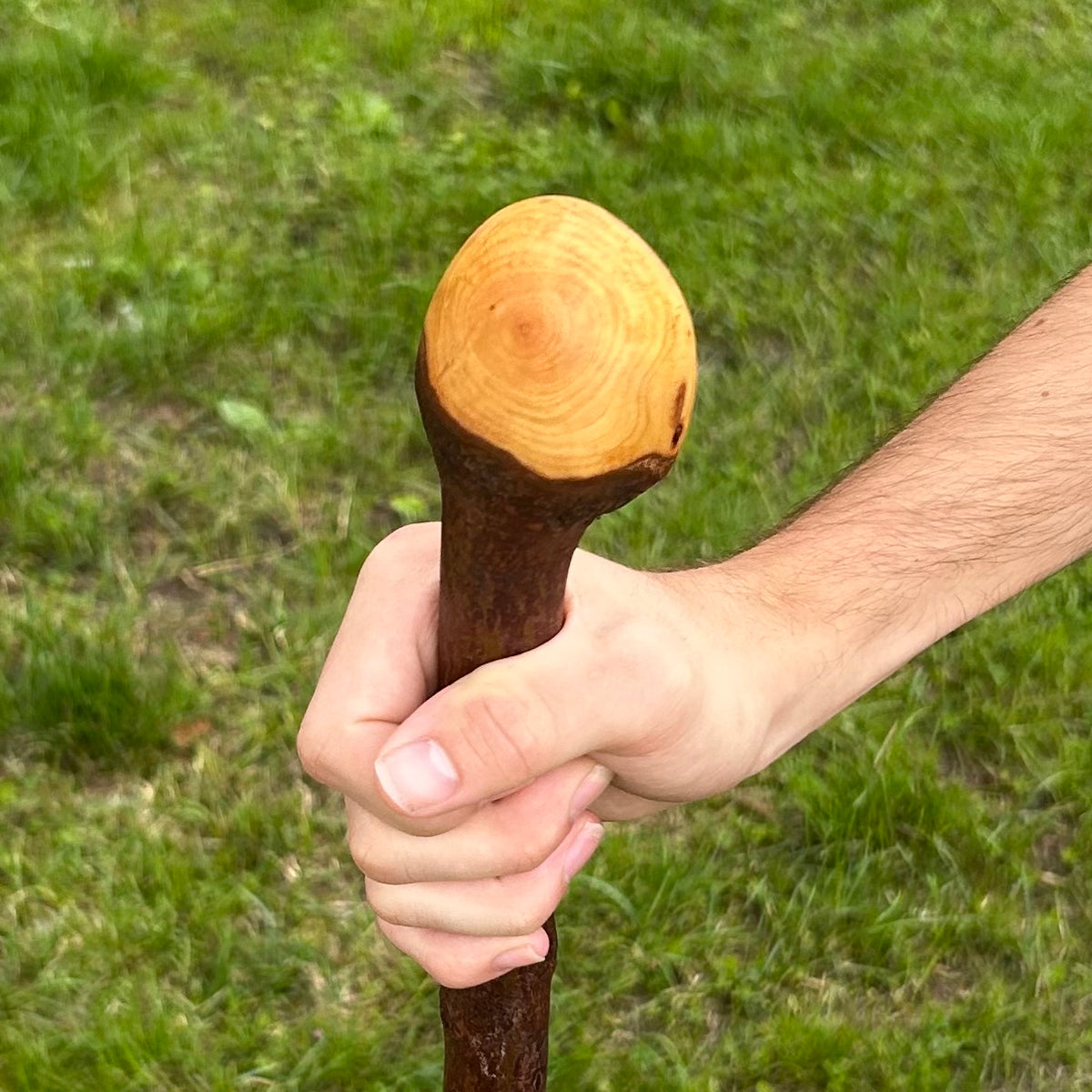 Knuckled Blackthorn Shillelagh Knob Stick – 101 cm (39.8”)