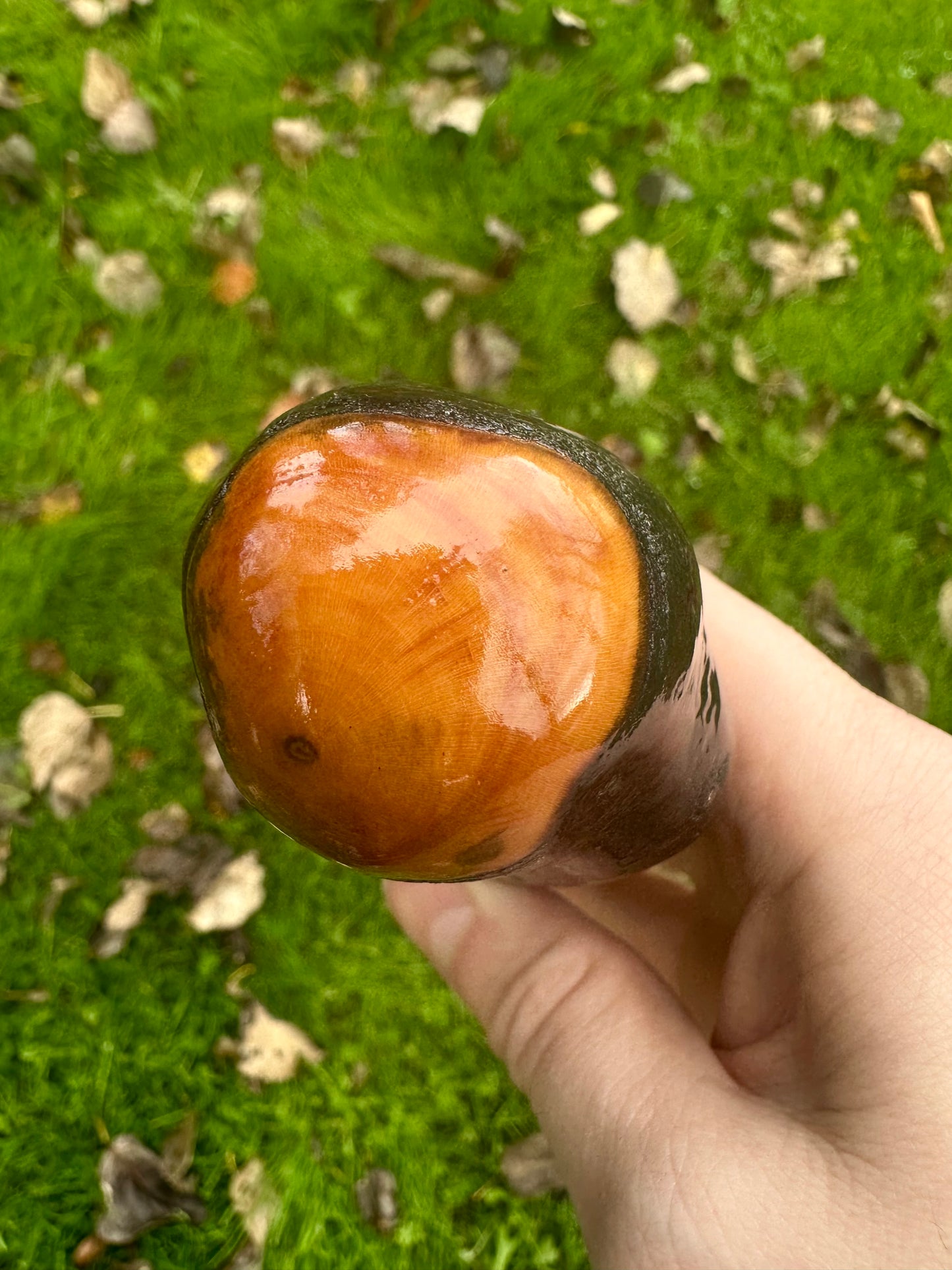 Irish Blackthorn Walking Stick – 37.5”