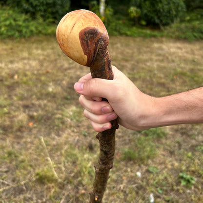 Whitethorn Shillelagh Knob Stick – 87.1 cm (34.3”)