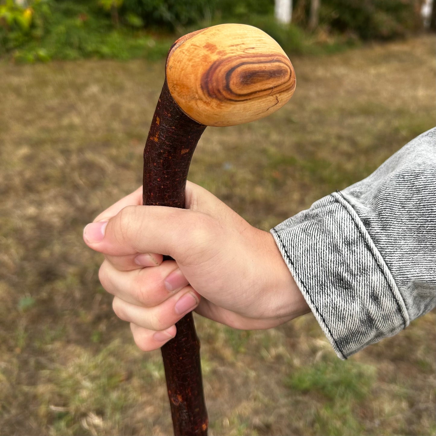 Round Knob Blackthorn Shillelagh – 98.5 cm (38.8”)
