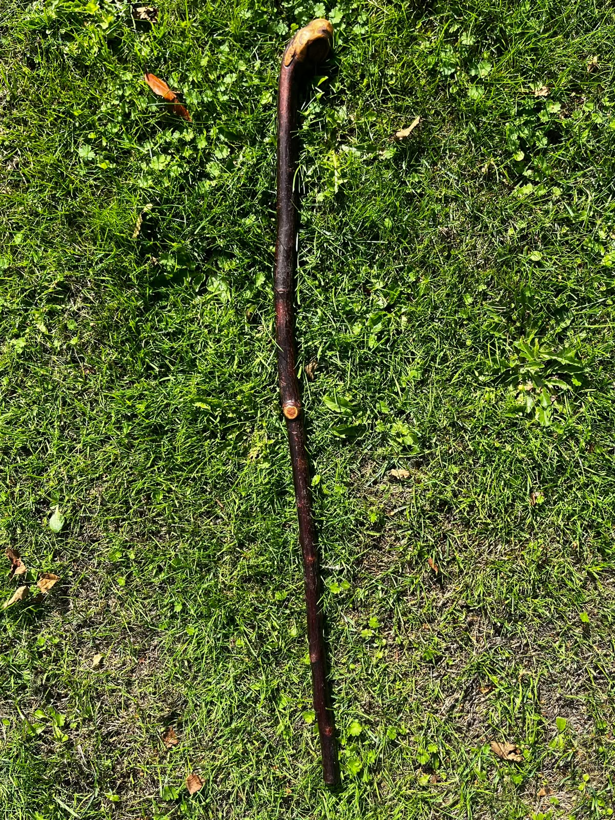 Rugged Blackthorn Shillelagh Knob Knuckle Stick – 87 cm (34.2”)