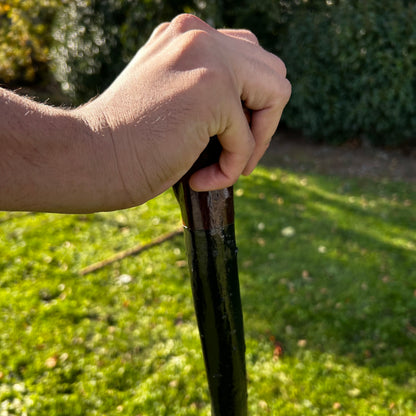 Large Root Ball Blackthorn Shillelagh – 110 cm (43.3”)