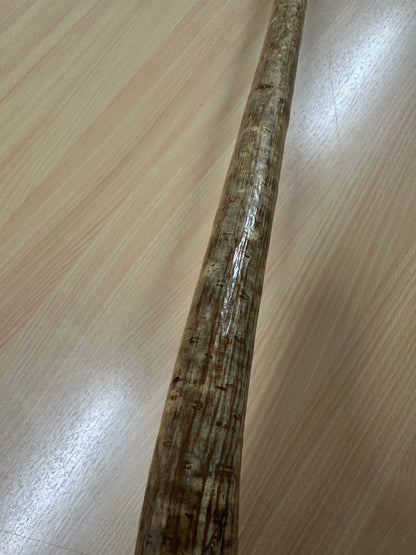 One-Piece Hazel Walking Stick with Large Round Handle – 98cm