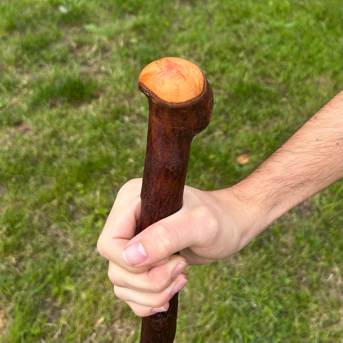Blackthorn Shillelagh Knob Stick with Shoulder – 91 cm (35.8”)