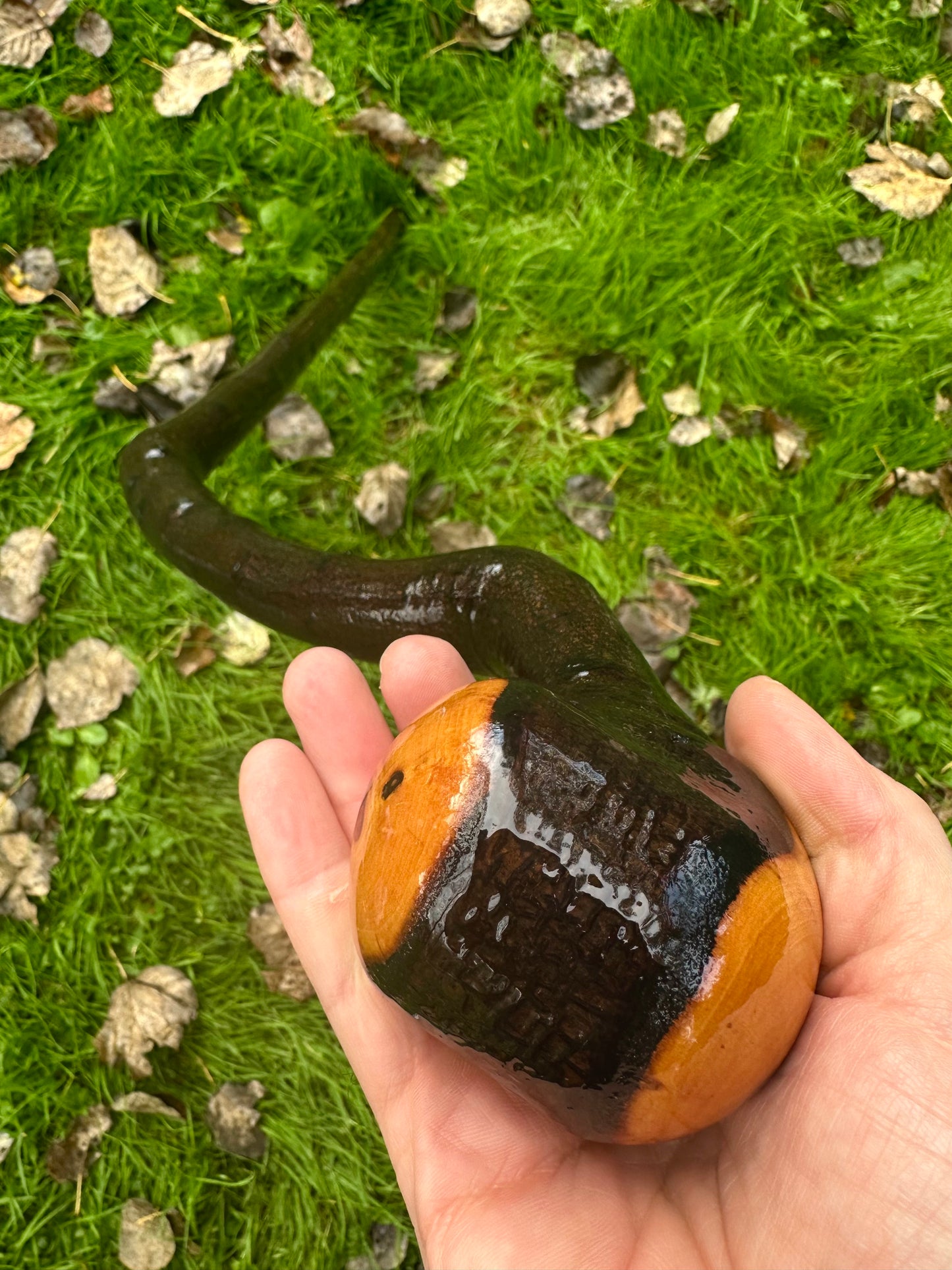 Rare Blackthorn Walking Stick with Purple Heart Head – 39”