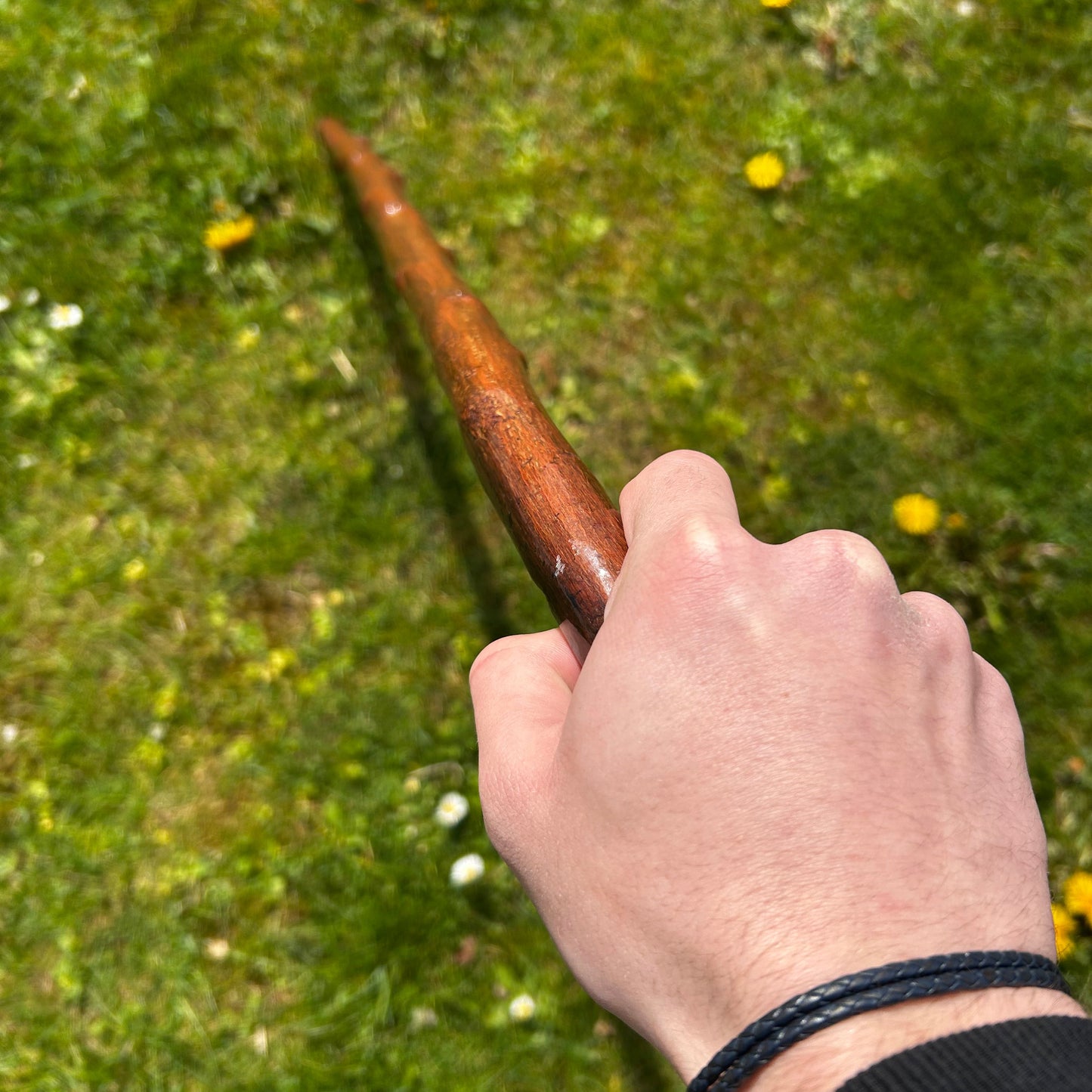 Blackthorn Shillelagh Knob Stick with Varnish Finish – 101 cm (39.7”)