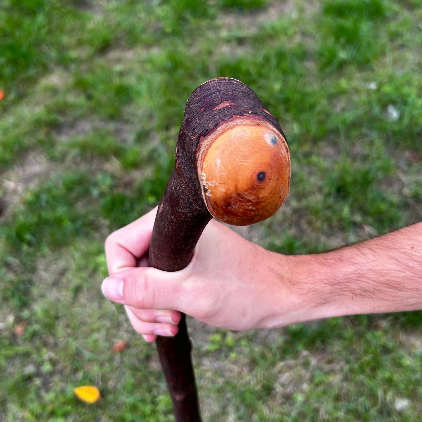 T-Shaped Handle Blackthorn Shillelagh – 97 cm (38.2”)
