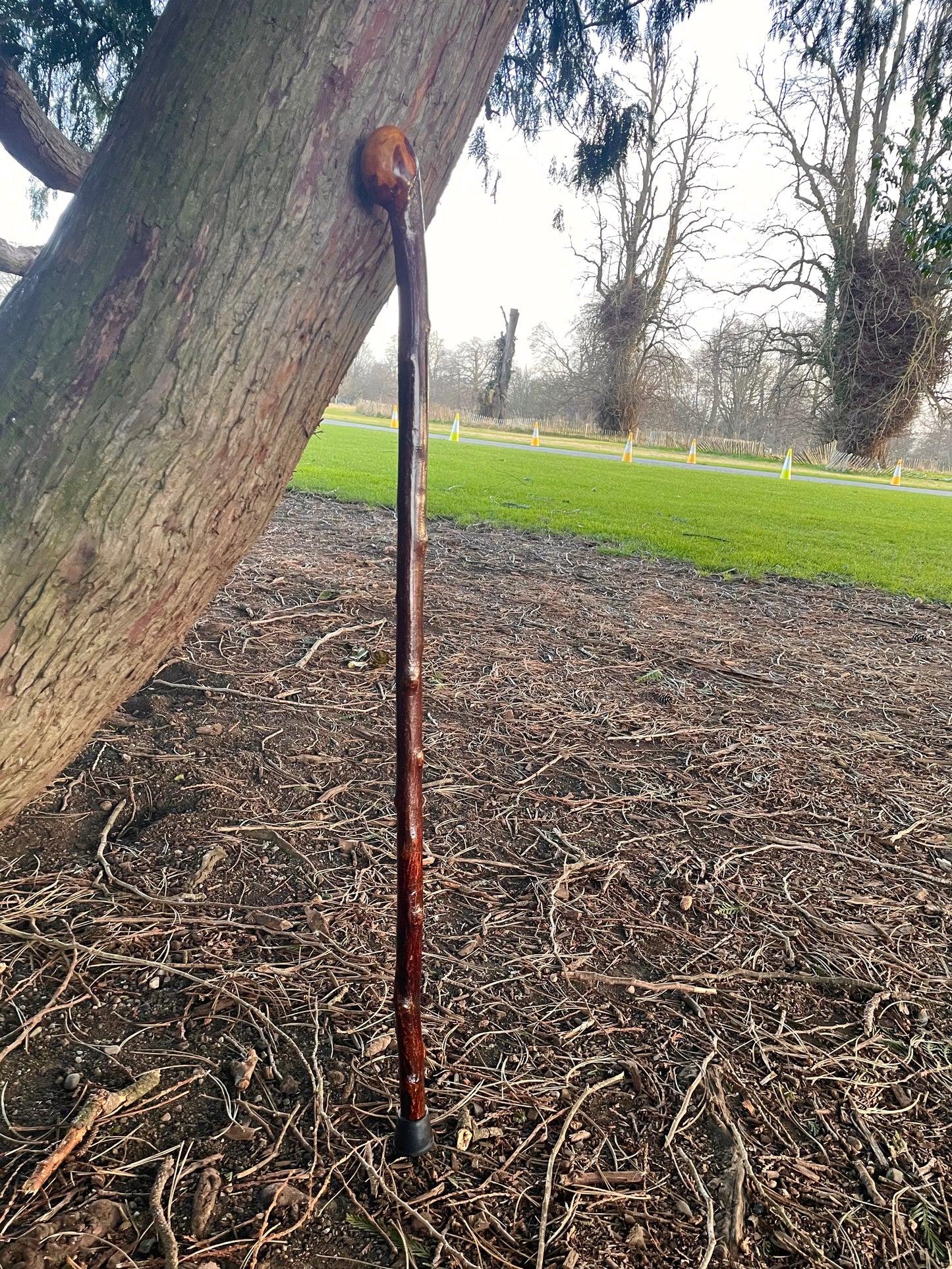 Blackthorn stick with knob