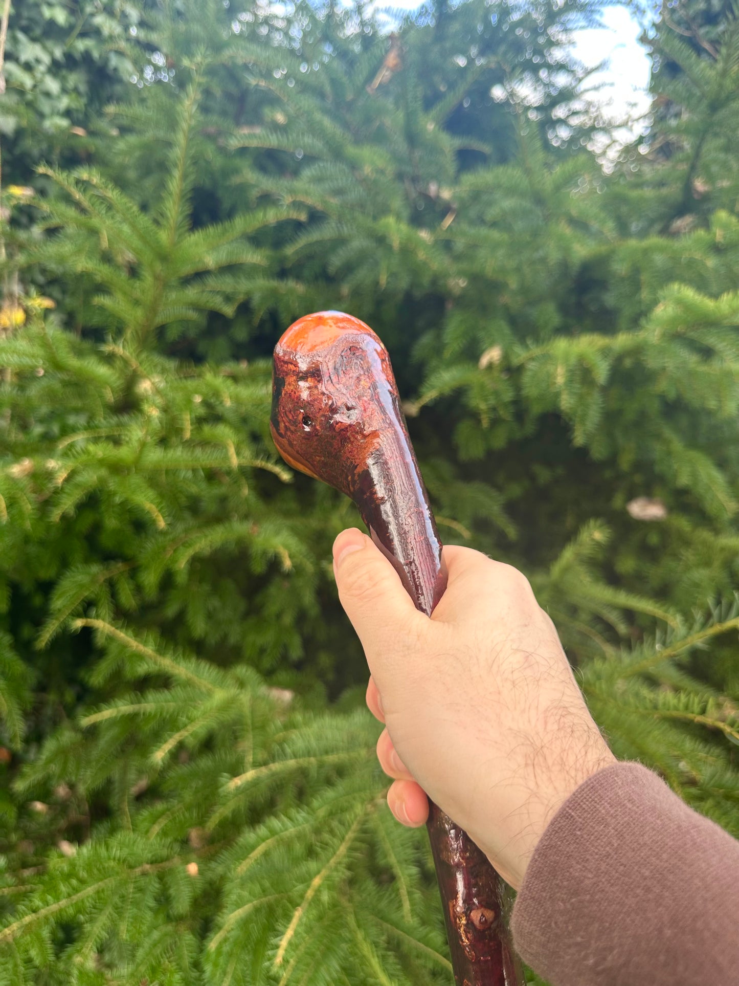 Irish Blackthorn Walking Stick – 40”