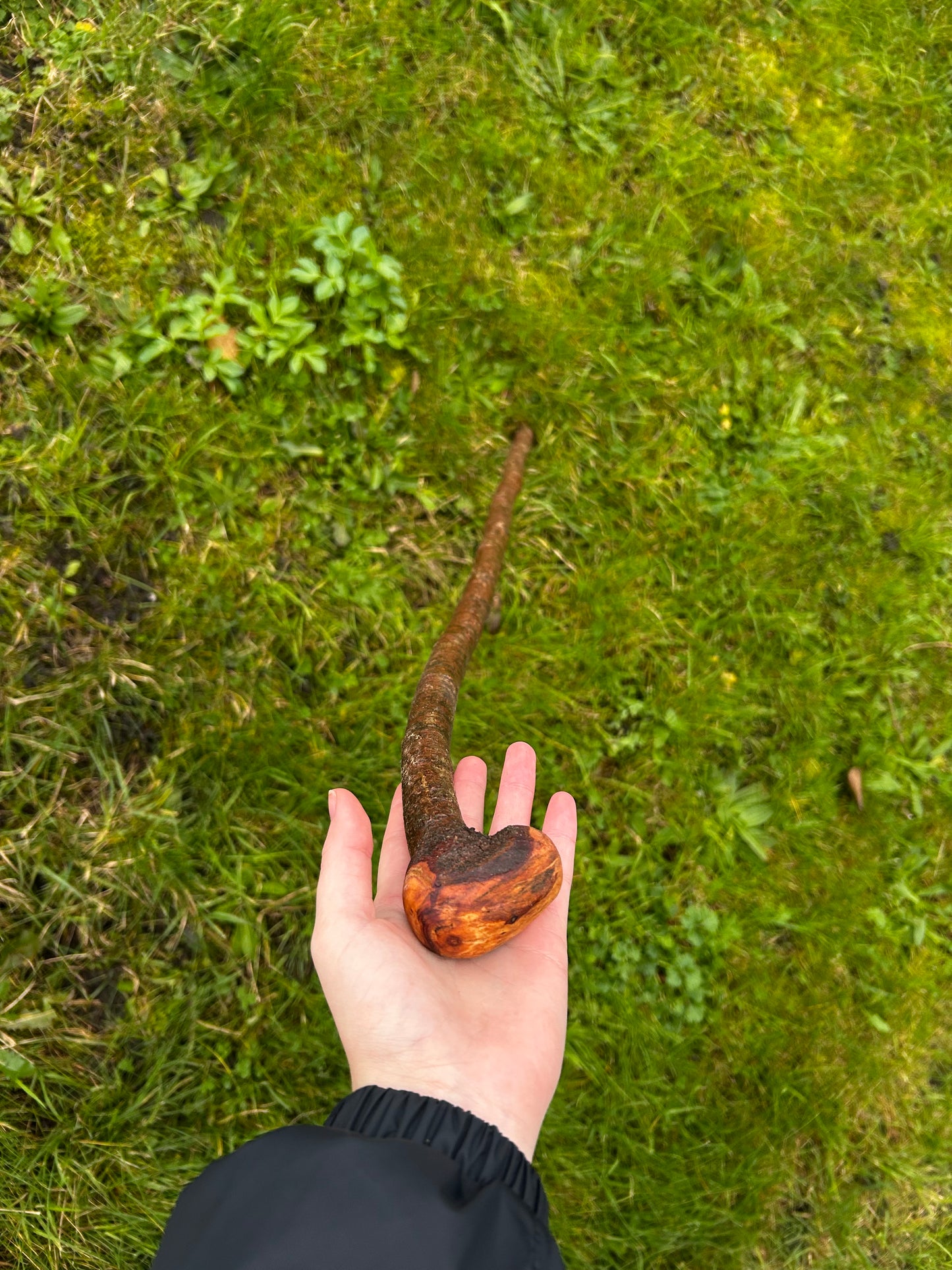 Blackthorn Walking Stick with Small Knob Head – 94 cm (37”)