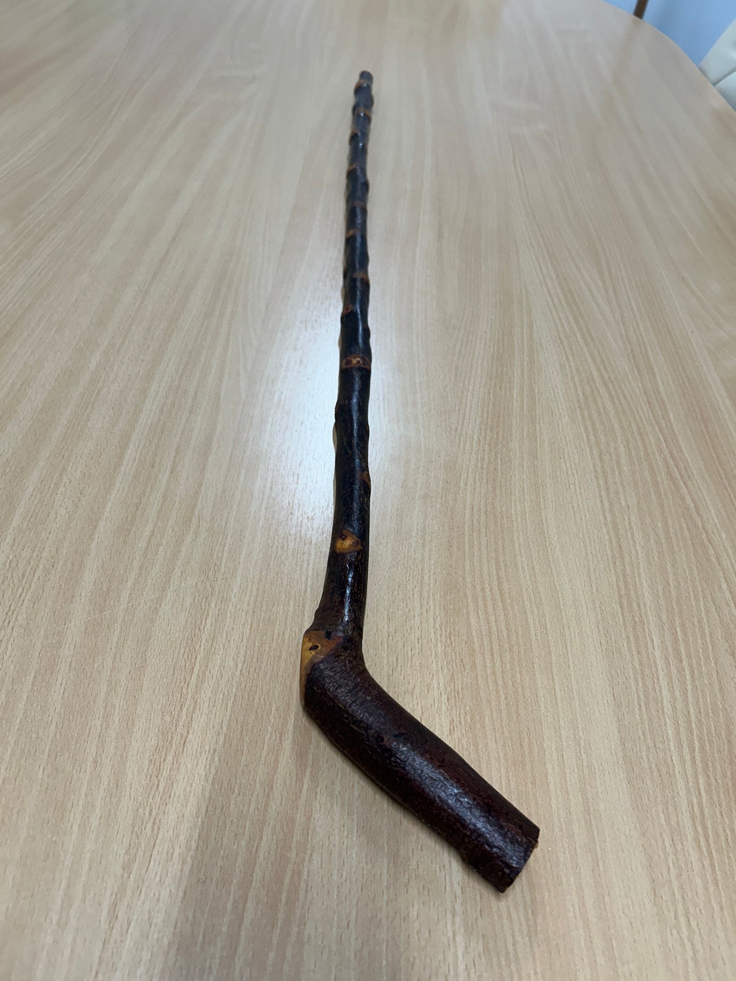 Bumpy Blackthorn Walking Stick with Sloped L Handle – 102cm