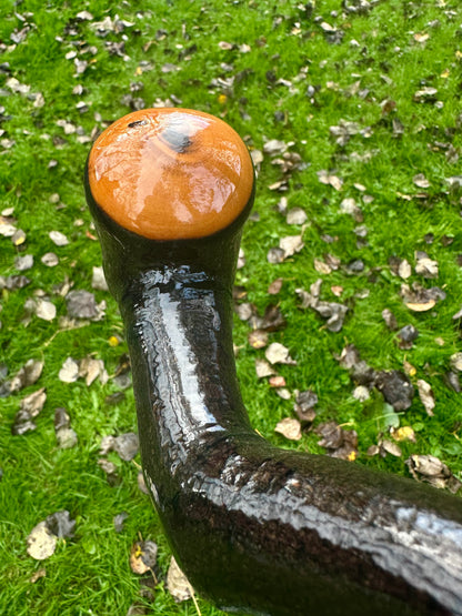 Rare Blackthorn Walking Stick with Purple Heart Head – 39”