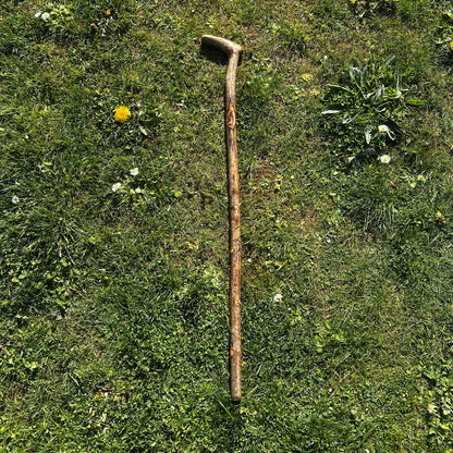 Hazel “Door Knocker” Shillelagh – 90 cm (35.4”)