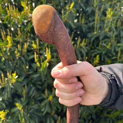 Rustic Blackthorn Shillelagh Root Ball Handle – 95 cm (37.4”)