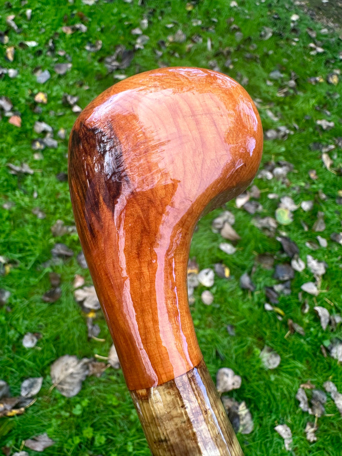 Hazel Walking Stick with Spalted Yew Head – 39.5”