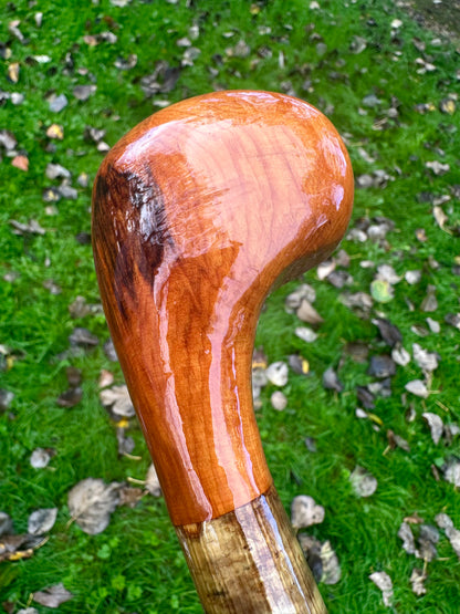 Hazel Walking Stick with Spalted Yew Head – 39.5”