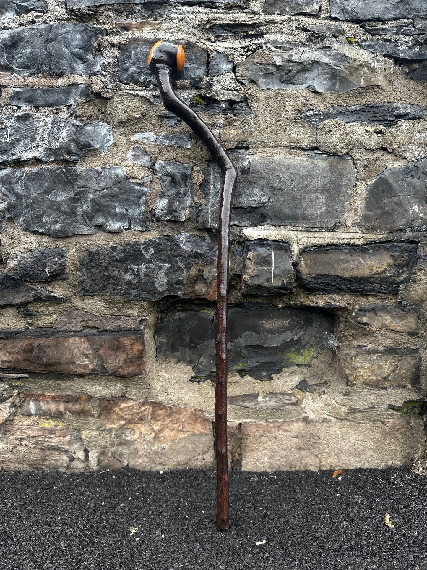 Unique Twisted Blackthorn Walking Stick – 101 cm (39.7”)