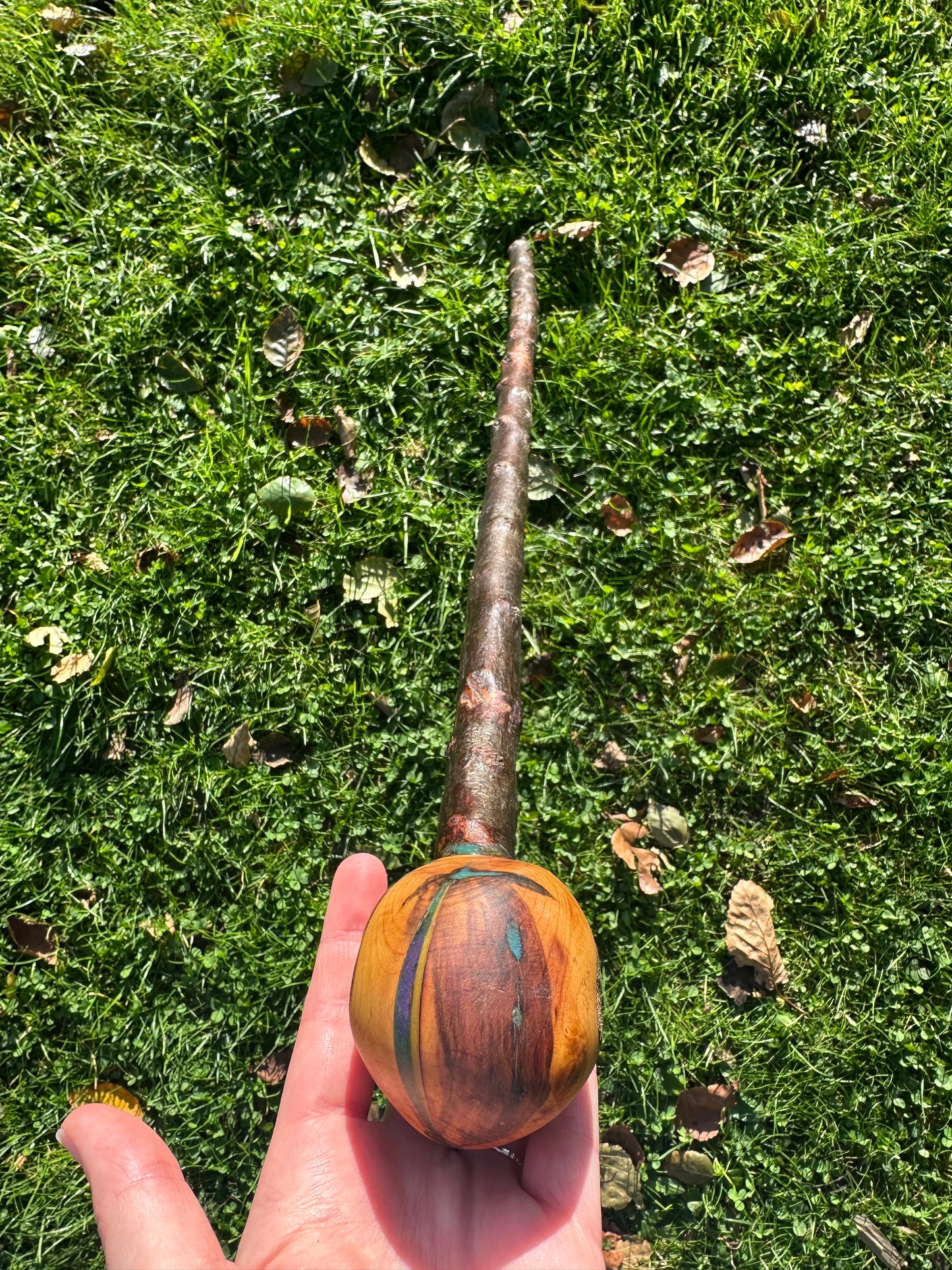 Blackthorn Walking Stick with Round Handle - 85 cm / 33.5 inches