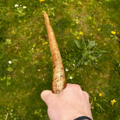 Chunky Hazel Shillelagh Knob Stick – 99 cm (39”)