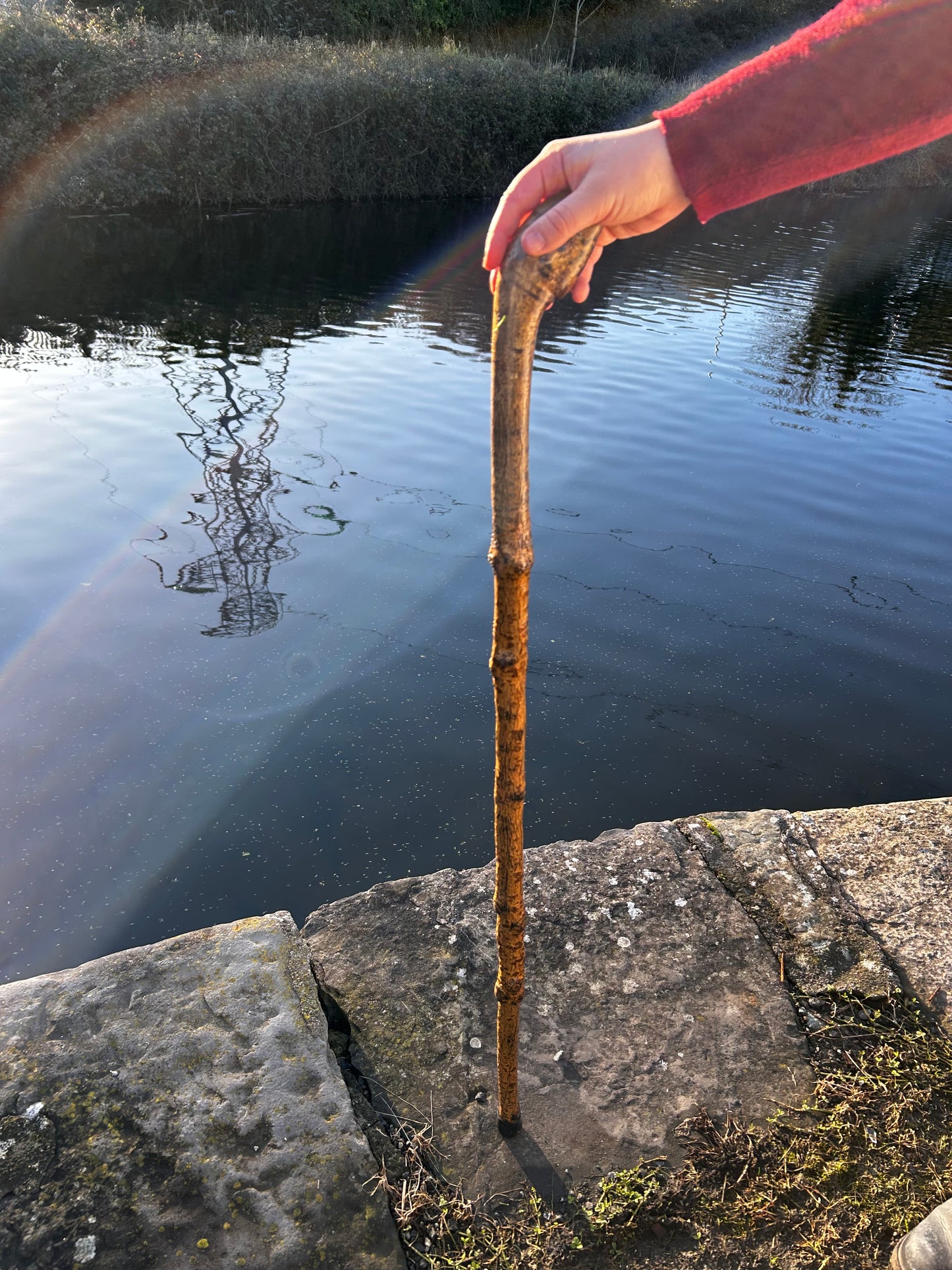 Spotted Hazel Knob Stick – 99 cm (39”)