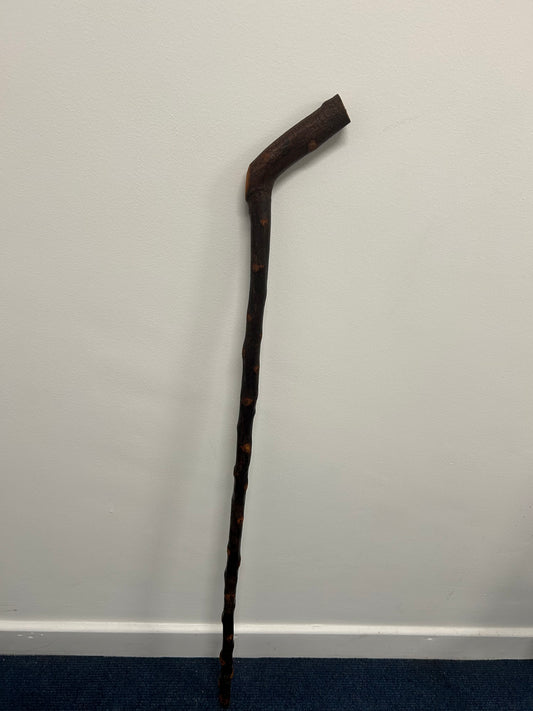 Bumpy Blackthorn Walking Stick with Sloped L Handle – 102cm