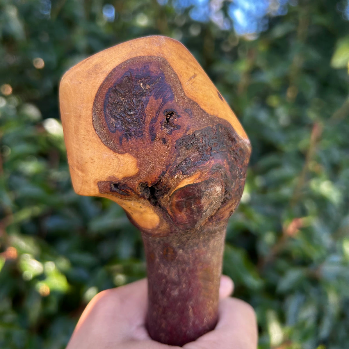 Knarly Root Ball Blackthorn Shillelagh – 92 cm (36.2”)