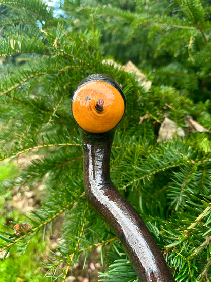 Rare Blackthorn Walking Stick with Purple Heart Head – 39”