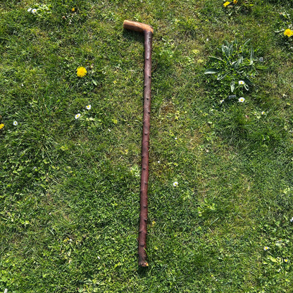 Blackthorn Shillelagh with L Handle – 99 cm (39”)
