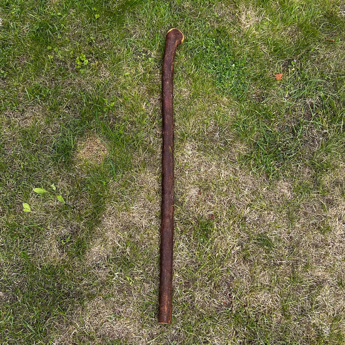 Heavy Chunky Blackthorn Shillelagh Small Knob Stick – 101 cm (39.8”)