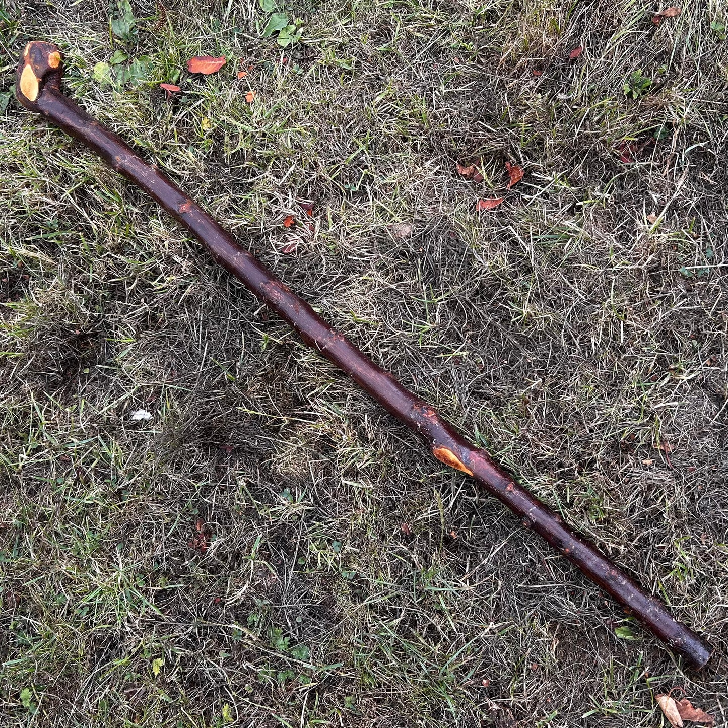 Chunky Knob Blackthorn Shillelagh – 94.3 cm (37.1”)