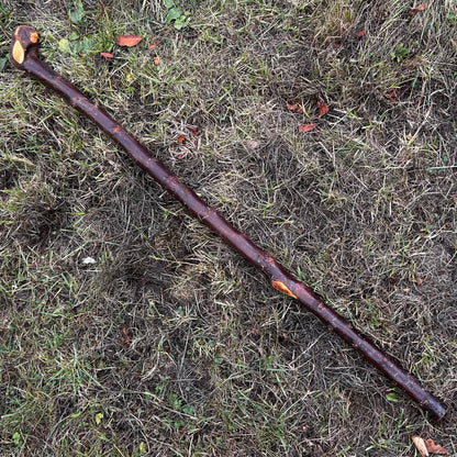 Chunky Knob Blackthorn Shillelagh – 94.3 cm (37.1”)
