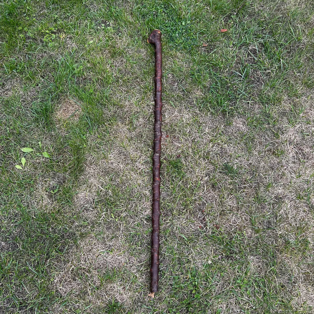 Rustic Blackthorn Shillelagh Thumb Rest Knob Stick – 100 cm (39.4”)