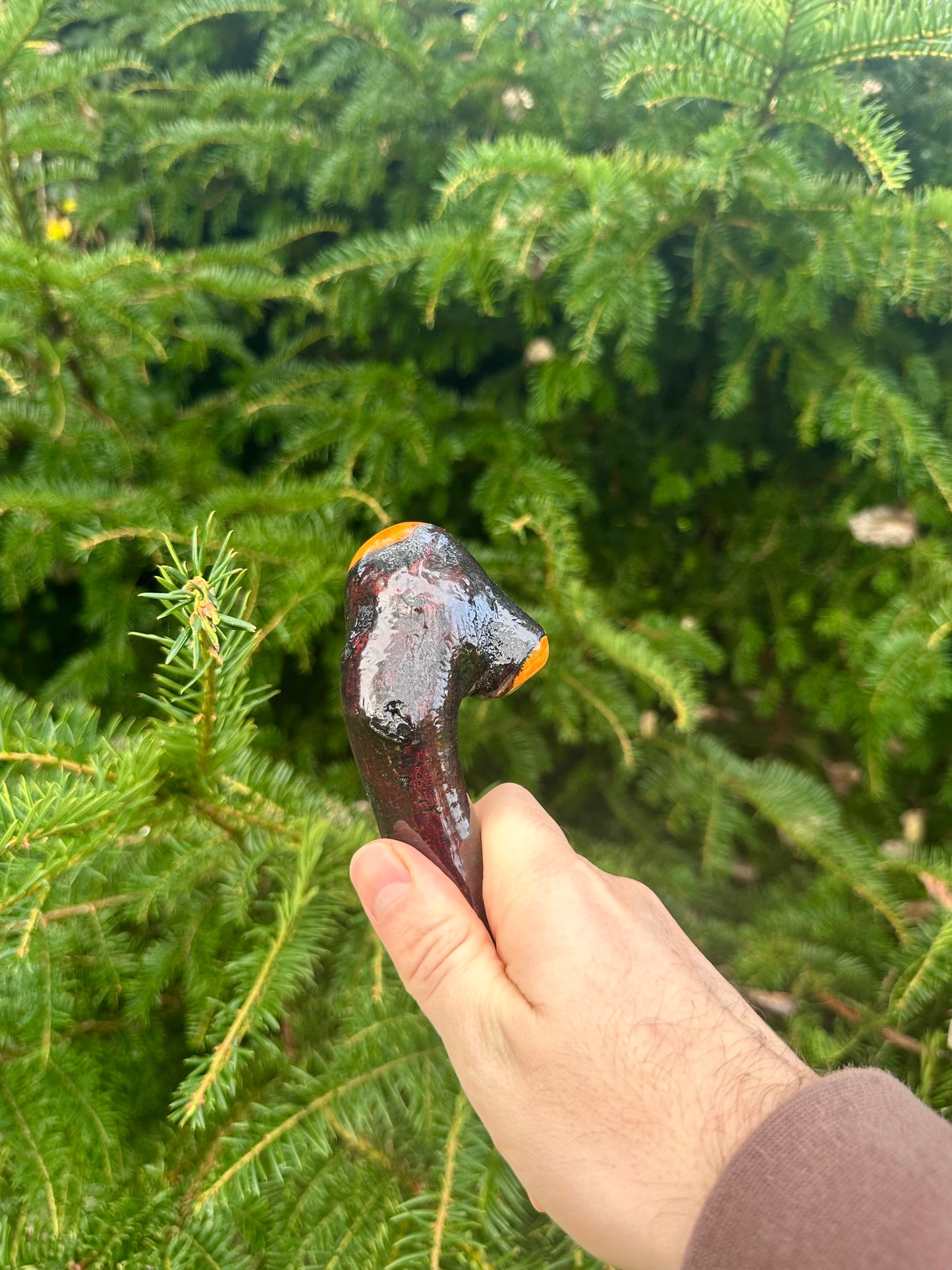 Irish Blackthorn Walking Stick – 37.5”