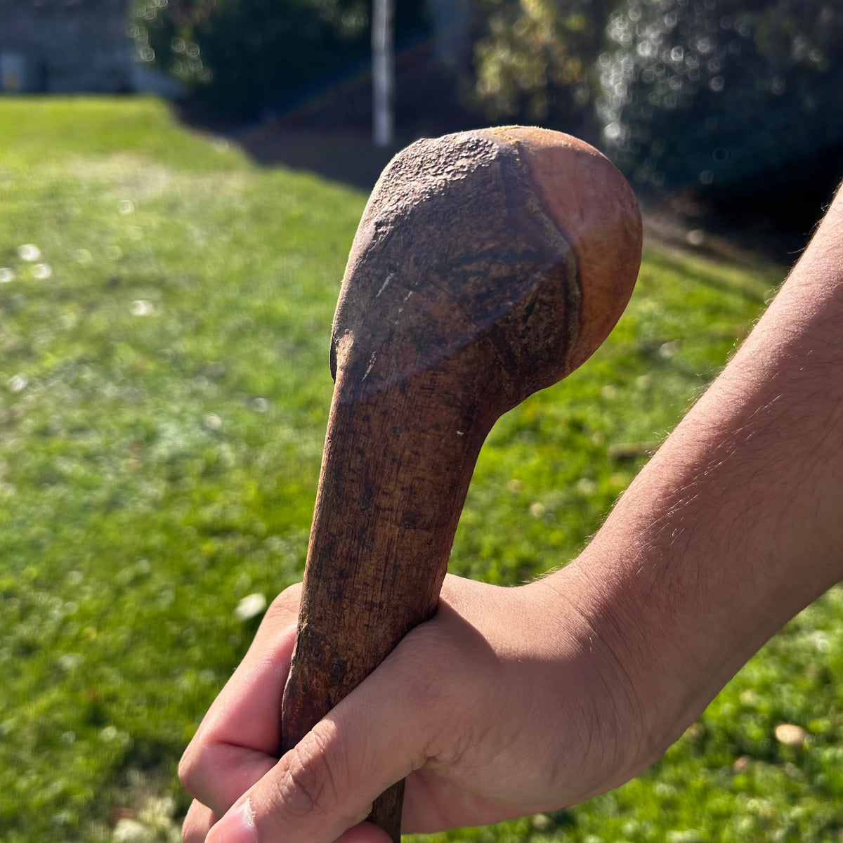 Traditional Root Ball Blackthorn Shillelagh Knob Stick – 103 cm (40.6”)
