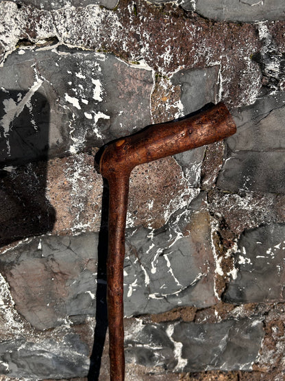 Blackthorn Walking Stick with L Handle – 102 cm / 40 inches