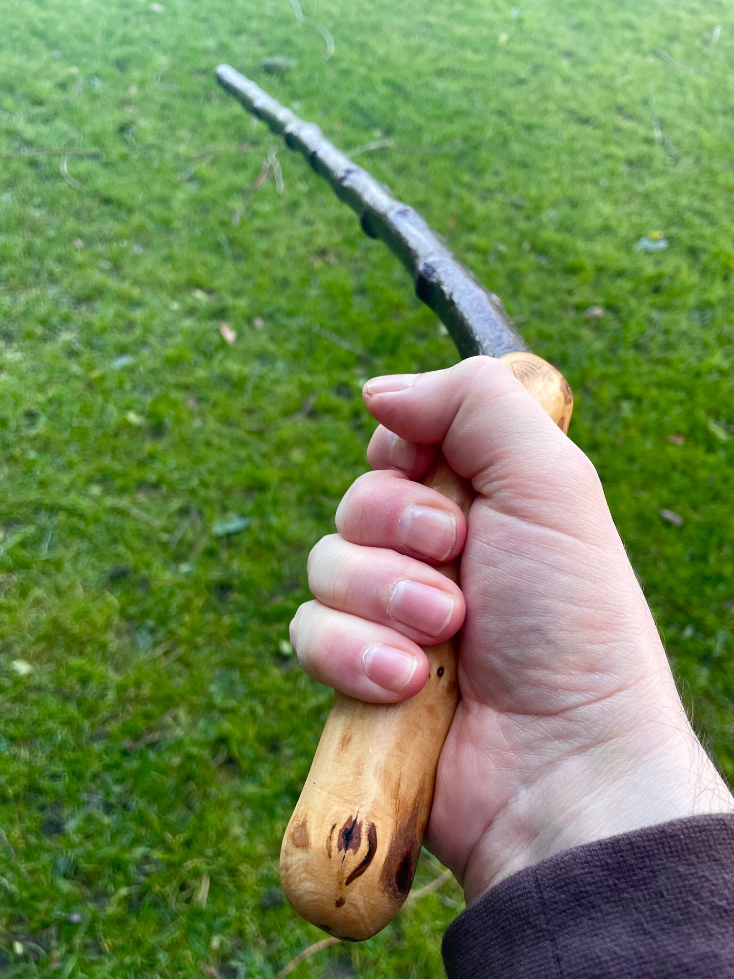 Blackthorn walking stick with sloped Handle