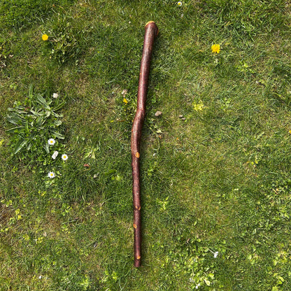 Blackthorn Shillelagh with Small Knob Head – 89 cm (35”)
