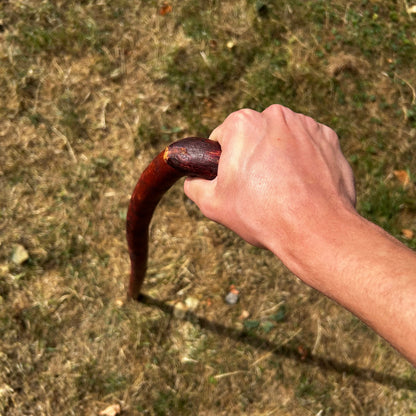 Light Blackthorn Shillelagh L Handle – 91 cm (35.8”)