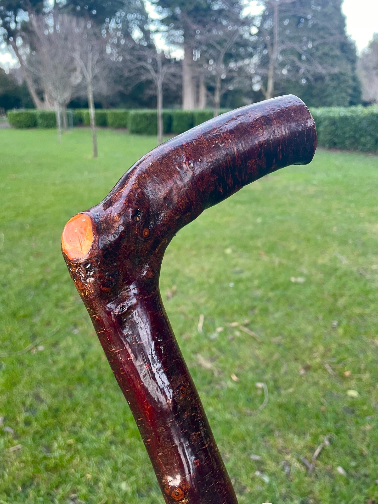 walking stick with comfortable Handle