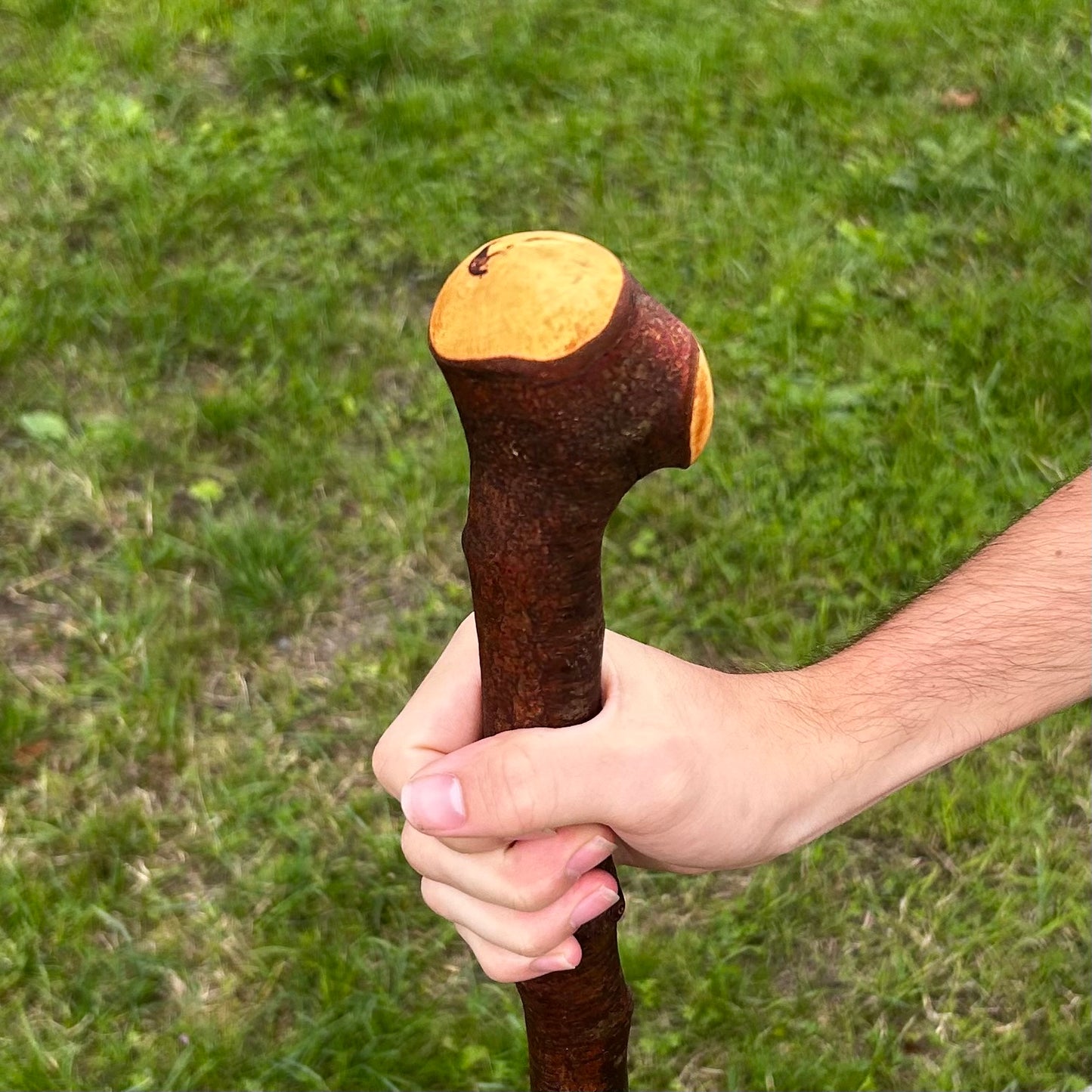 Rustic Blackthorn Shillelagh Thumb Rest Knob Stick – 100 cm (39.4”)