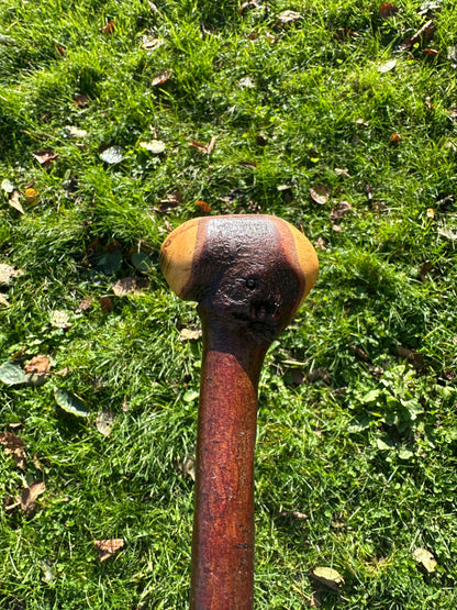 Blackthorn Walking Stick with Round Handle - 96 cm / 37.8 inches