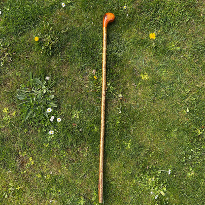 Luxury Hazel Two-Piece Shillelagh with Spalted Beech Handle – 100 cm (39.4”)