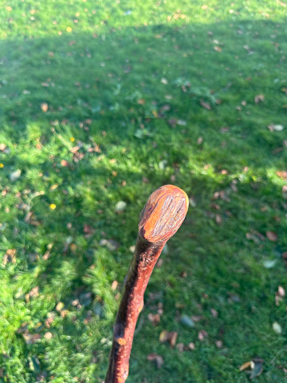 Sold - Blackthorn Walking Stick with Small Curved Handle – 98cm