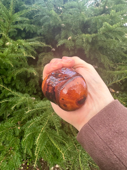 Irish Blackthorn Walking Stick – 40”