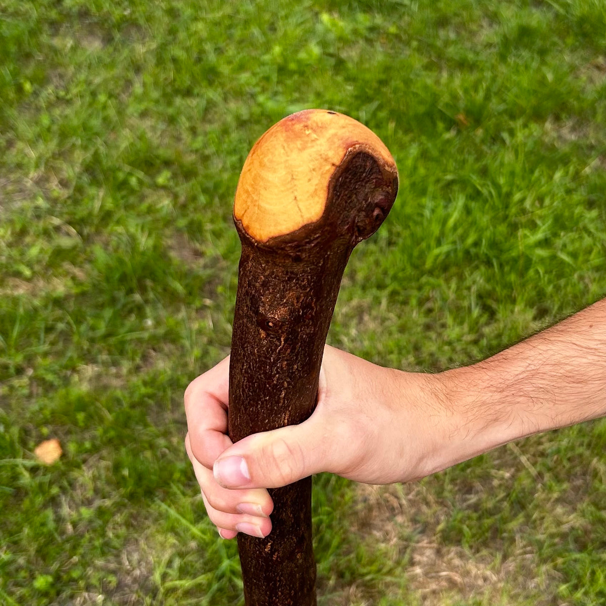 Heavy Chunky Blackthorn Shillelagh Small Knob Stick – 101 cm (39.8”)